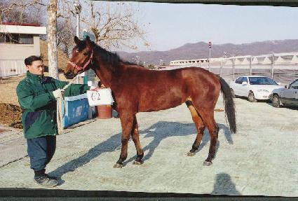 �����ؼ� ����