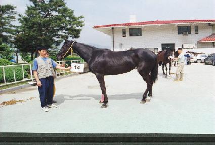 �ݿ���ȭ ����