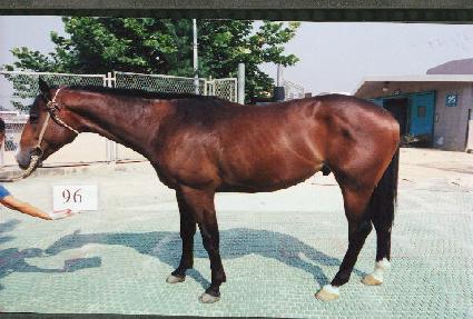 ��� ����