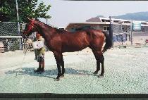 �ϼ����� (ILSEJIUNG) ����