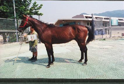 �ϼ����� ����