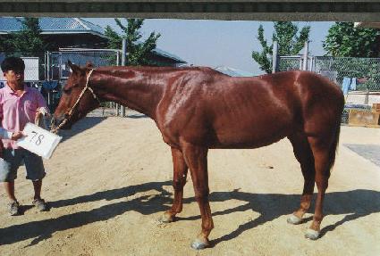 �ű��� ����