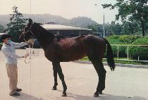 ��� (KILBEOT) ����