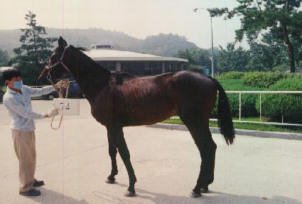 ��� ����