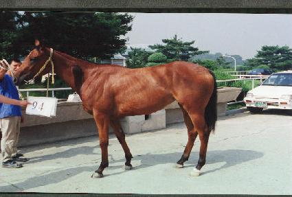 ��׷� ����