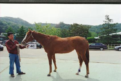 �������� ����