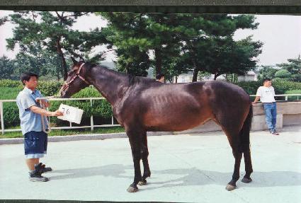 õ�� ����