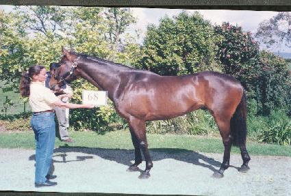 ���̸���ƾ ����