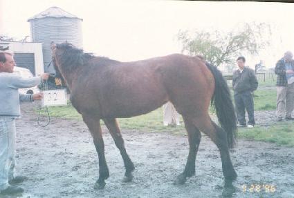 ��ǳ ����