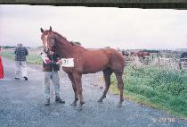 ��ġ����Ʈ (SEARCHLIGHT) ����