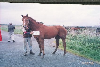 ��ġ����Ʈ ����