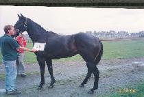 �������� (CHEONJIN SEOUL) ����