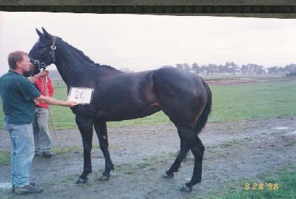 �������� ����