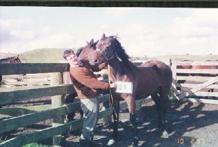 ����׷��̽� ����