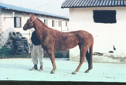 ���巡�� ����