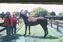 ���� (CHEONJIN) ����