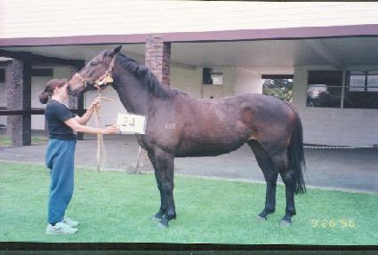 ��� ����