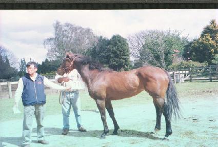 ��� ����