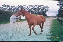 ���ۼҴ� (SUPERSONIC) ����