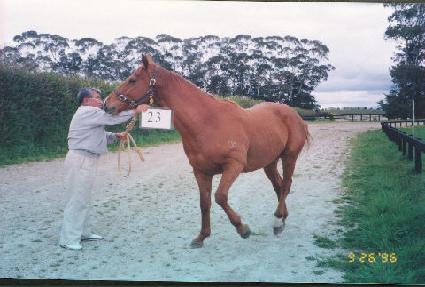 ���ۼҴ� ����