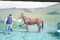 õ�¼� (CH��EONT��AESEONG) ����