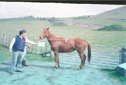 õ�¼� ����