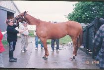 �½��ڰ� (SEUNGSEUNGJAGYEONG) ����