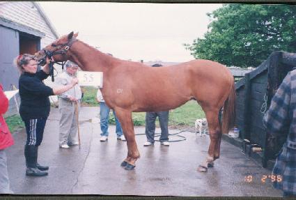 �½��ڰ� ����