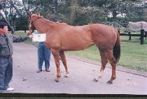 ������ (MYEONGBONGSAN) ����