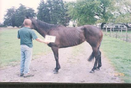 ���� ����