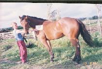 �������� (APRIL) ����