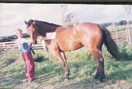 �������� ����