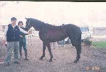 �츲�� (URIMBYEOL) ����