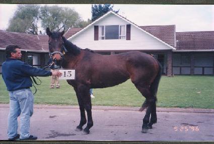 ����� ����