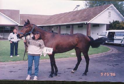 ���� ����