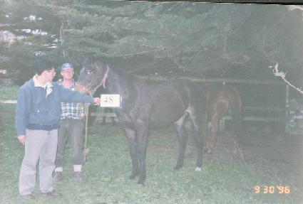 �εη� ����