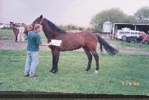 �ڷ� (CHARYEOK) ����