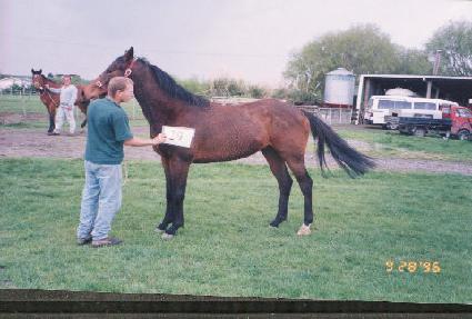 �ڷ� ����