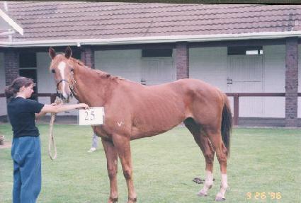 �ձ� ����