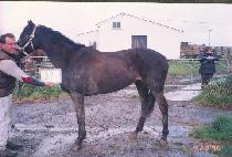 ���⼳ (MANNYEONSEOL) ����