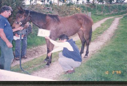 Ÿ��ƲȦ�� ����