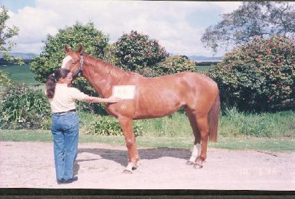 �ޱ� ����