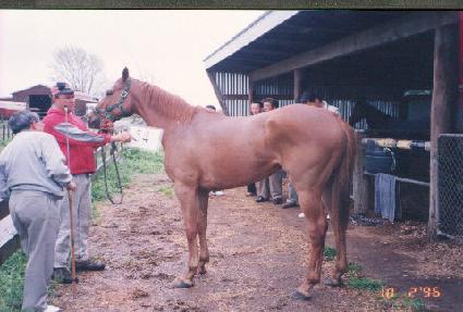 ���� ����