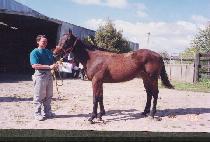 õ����� (CH��EONUSHINJO) ����