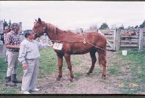 �������� (KOGAEKKAMDONG) ����