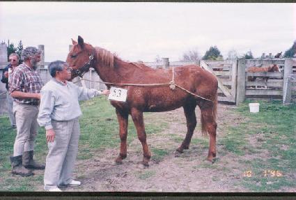 �������� ����