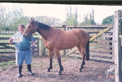 �뺹�� ����