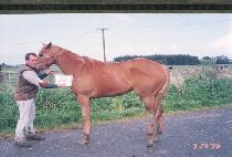 ä�� (CH��AEUN) ����