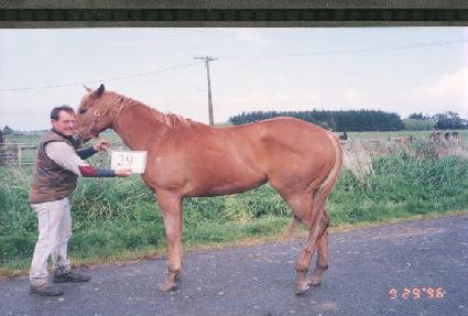 ä�� ����