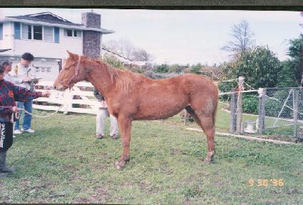 �ٽ��� ����